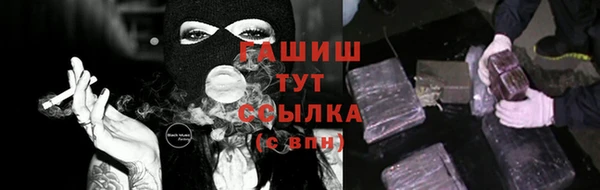гашик Алексин