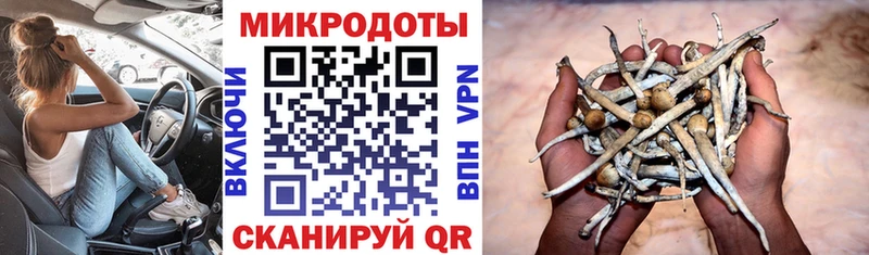 Псилоцибиновые грибы мицелий  Волгоград 